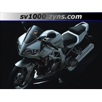 2003-SV1000_2