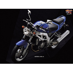 SV1000_Naked_LHF_Top_1024
