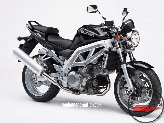 sv1000naked