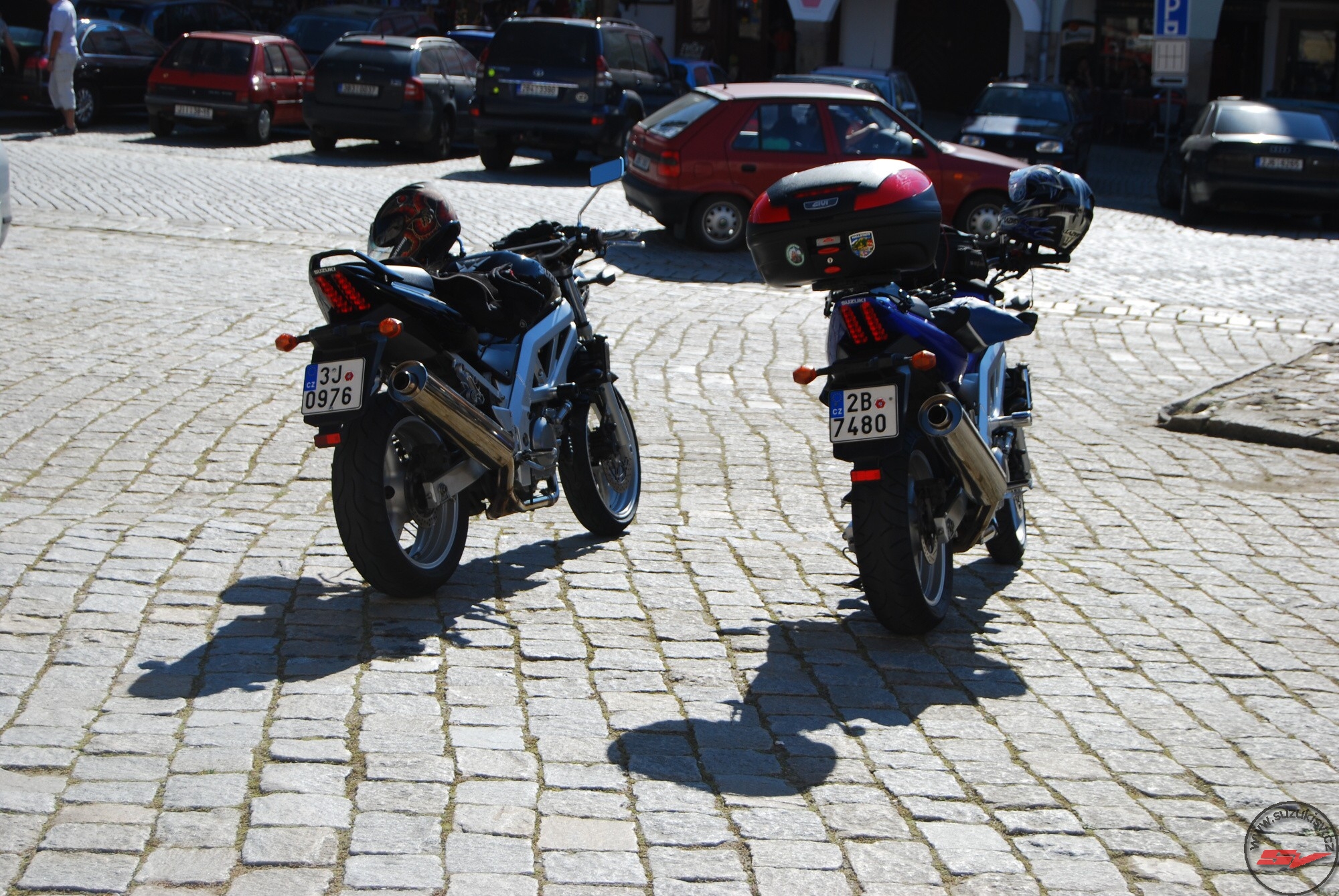DSC_0231.jpg
