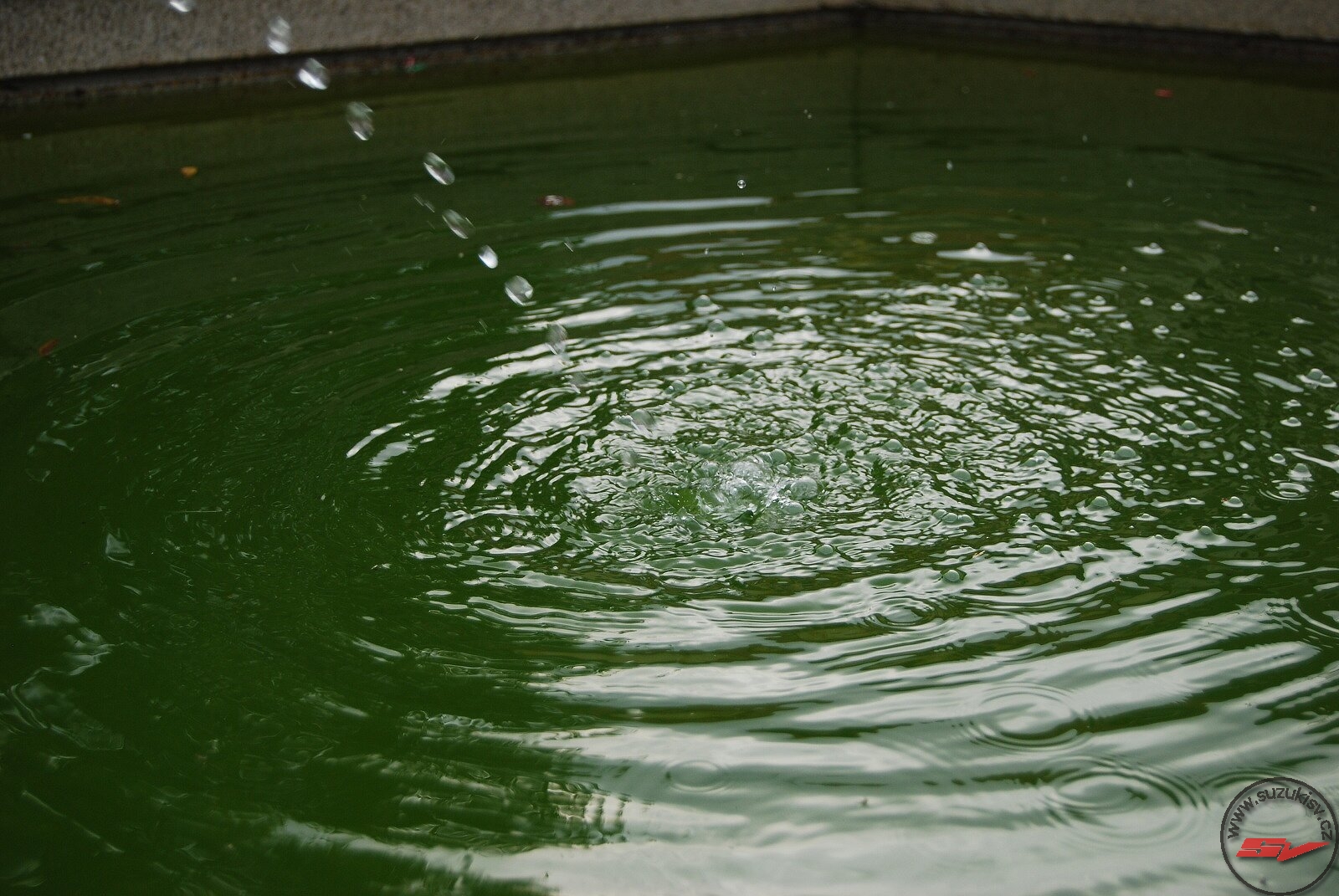 DSC_1222.jpg