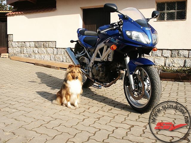 sv11