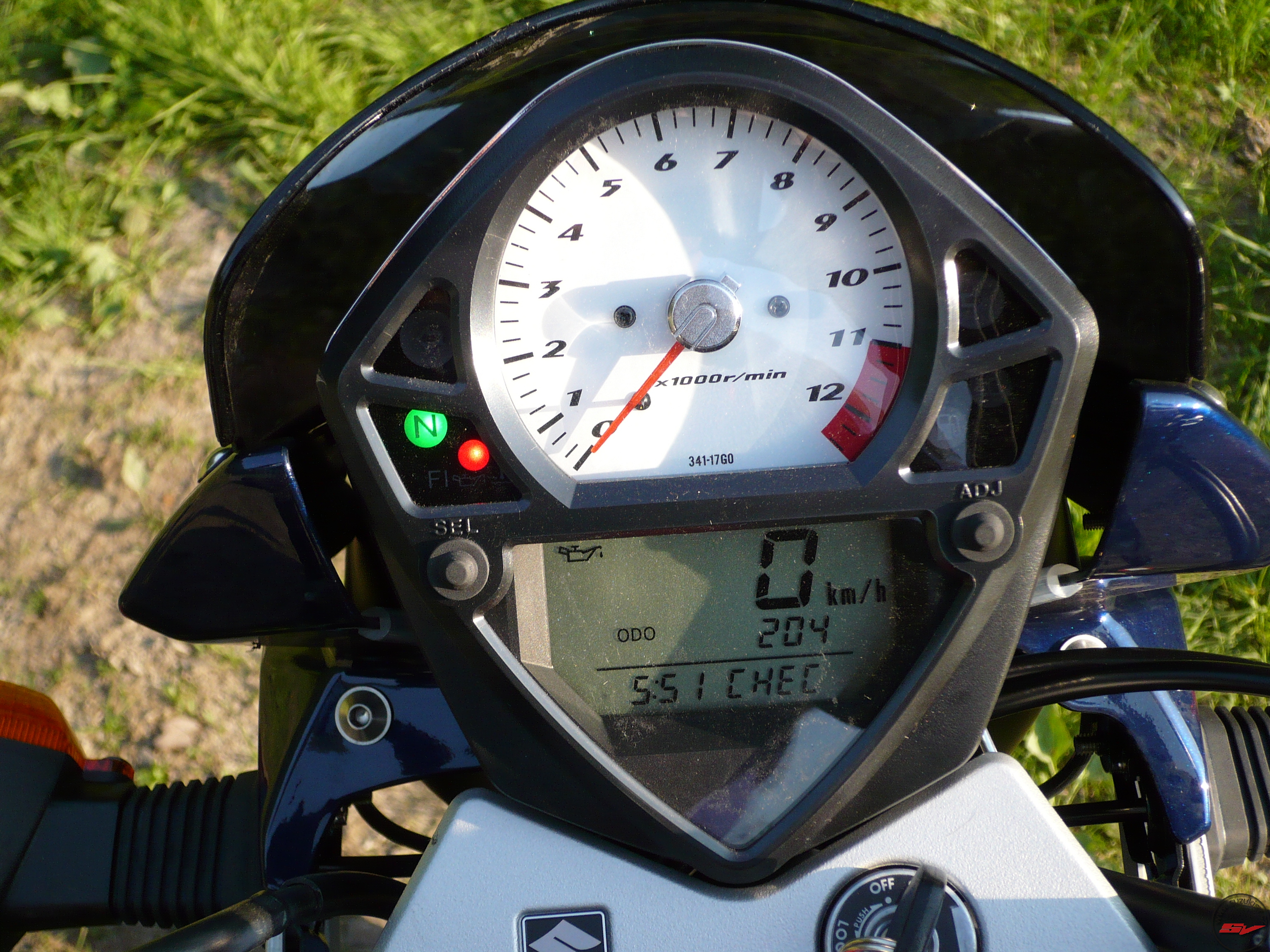 Suzuki 082