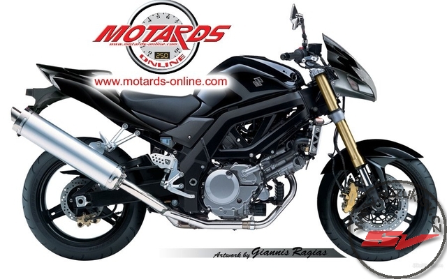 Suzuki_SV2007