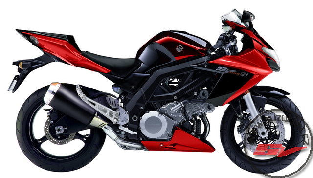 SUZUKI_SV1000SK8