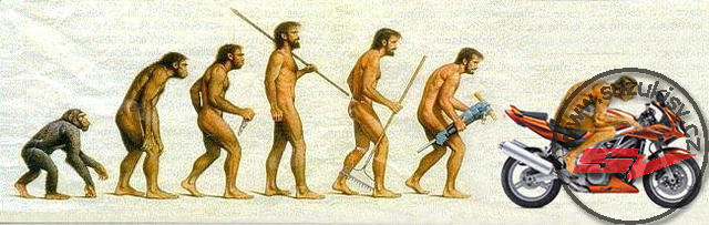 evolution