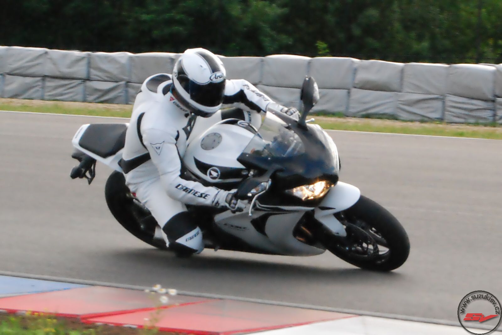 DSC_1981.jpg