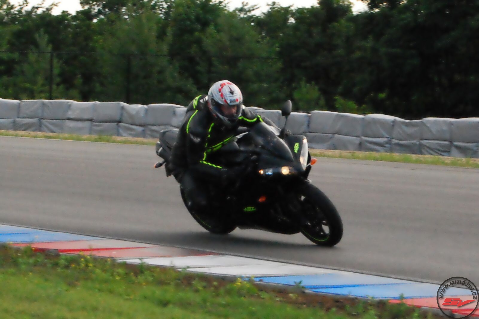 DSC_1987.jpg