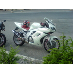 Cipís rok 2008