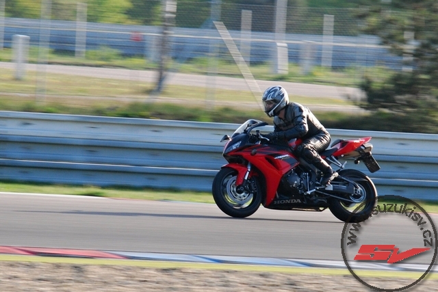 DSC_5413.jpg