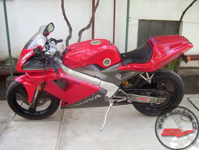 100_7347.JPG