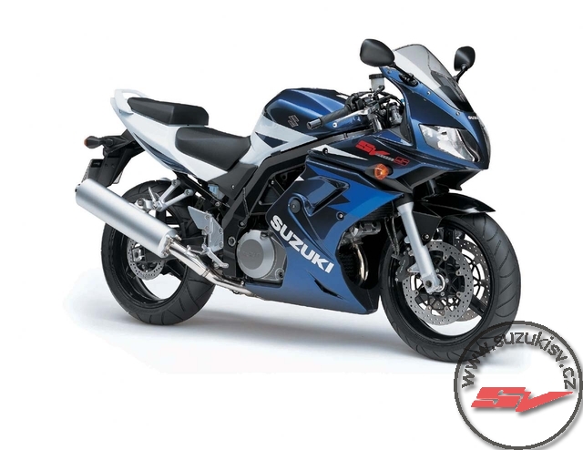 2006-Suzuki-SV1000SZb