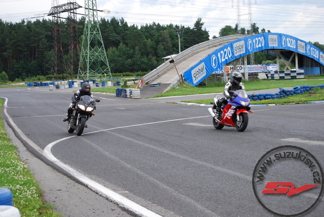 Sosnova 355