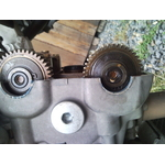 SNC00534