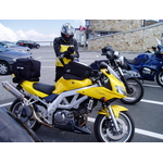 alpy 049