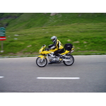 alpy 063