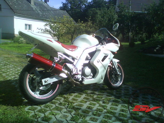 DSC01753