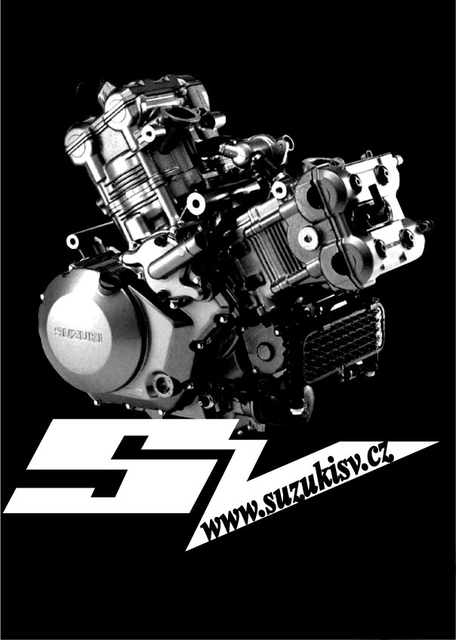 Motor_SV bile