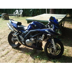 sv1000s