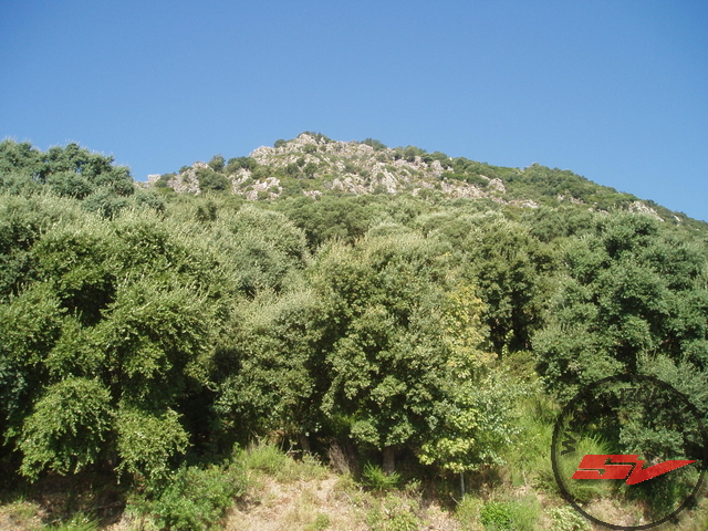 p9080157