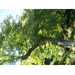 p9080197