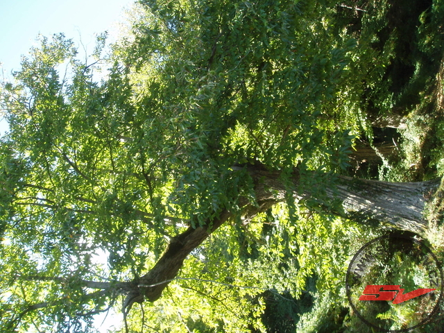 p9080197