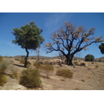 p9080227
