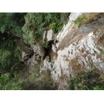 p9120311