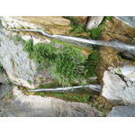 p9120317