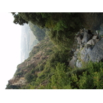 p9120319