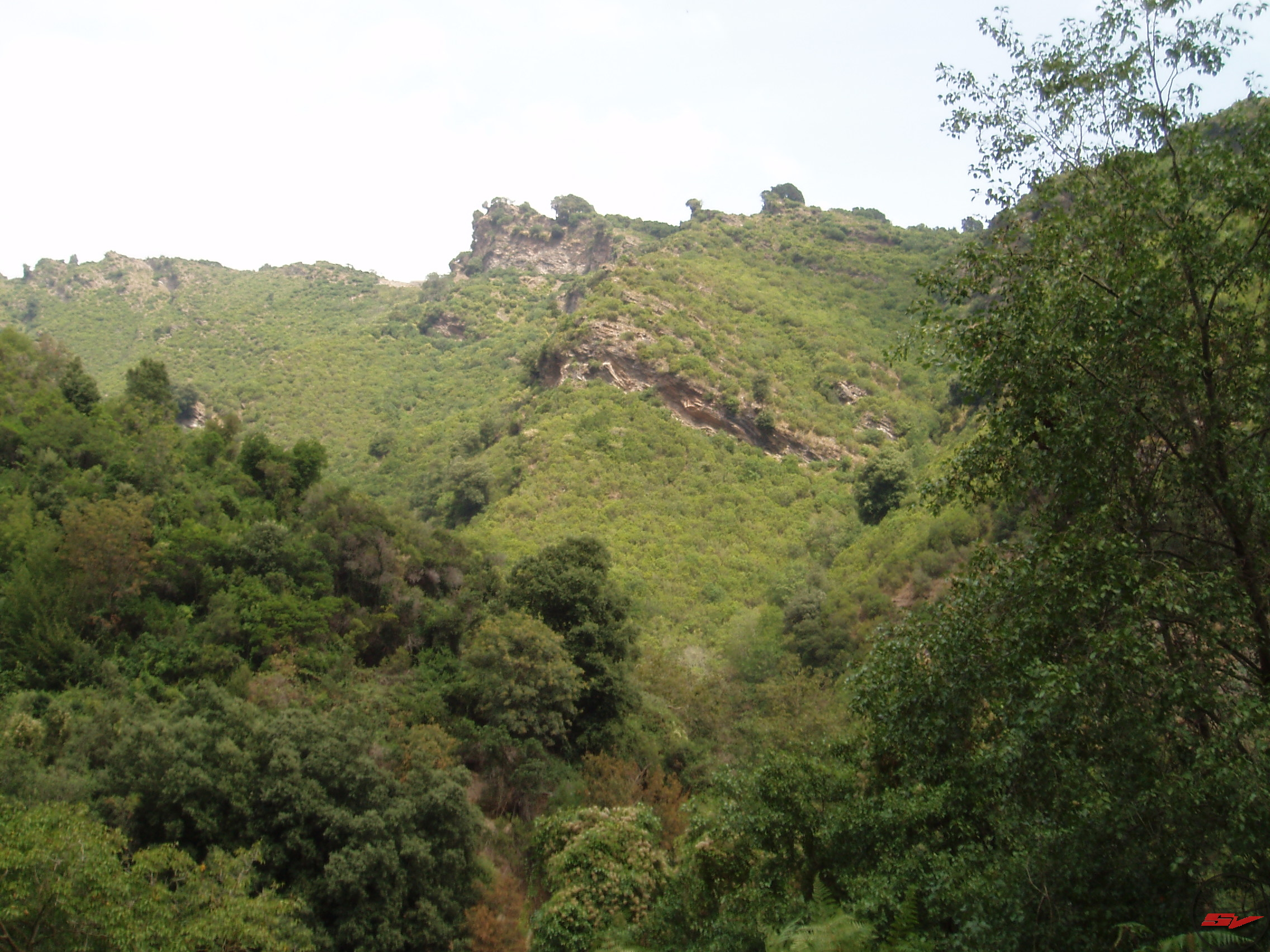 p9120310