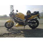08042010048