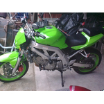 Obraz0060
