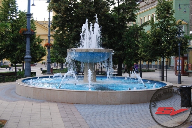 DSC_2901.jpg