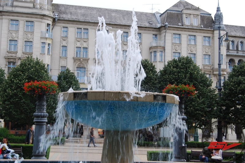 DSC_2902.jpg