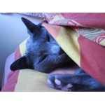 DSC02300