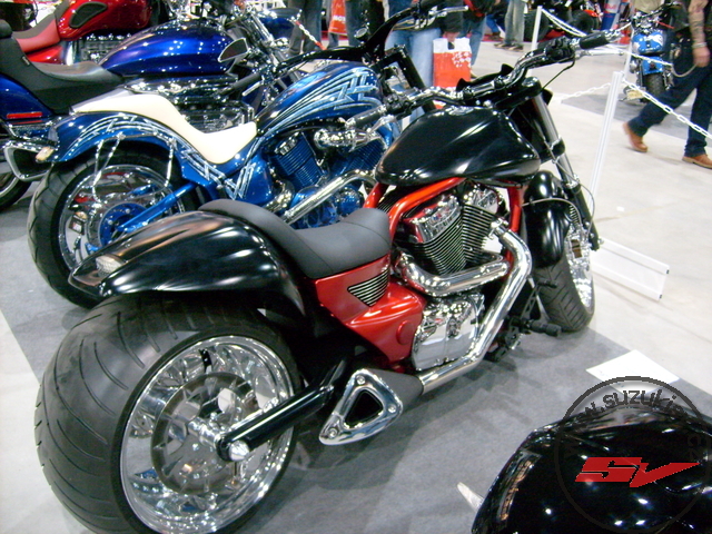 S6300081